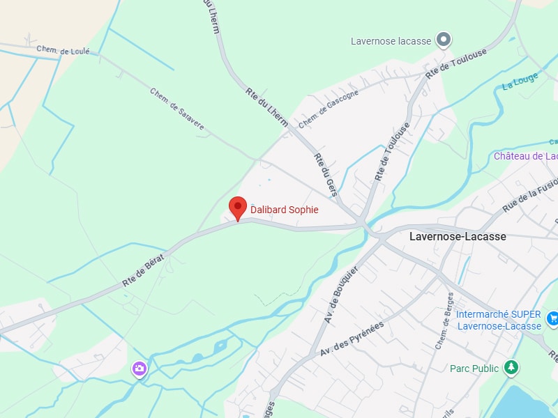 Localisation Dalibard Sophie à Lavernose-Lacasse Carte routière centrée sur Dalibard Sophie, près de Lavernose-Lacasse. On voit la Rte de Bérat, Rte du Gers et Rte de Toulouse.